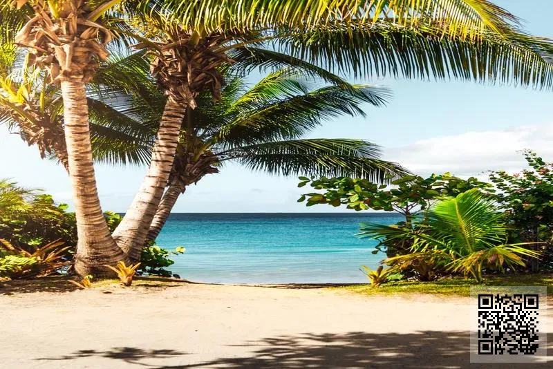 香港粵劇商會有限公司