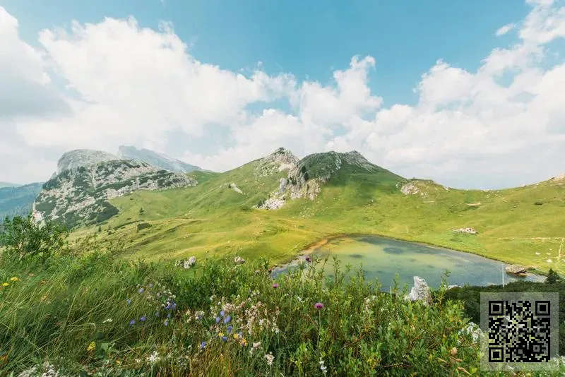 IMPACT CORPORATION LIMITED