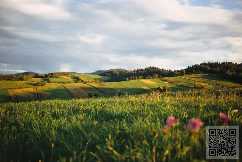 中星商務顧問有限公司