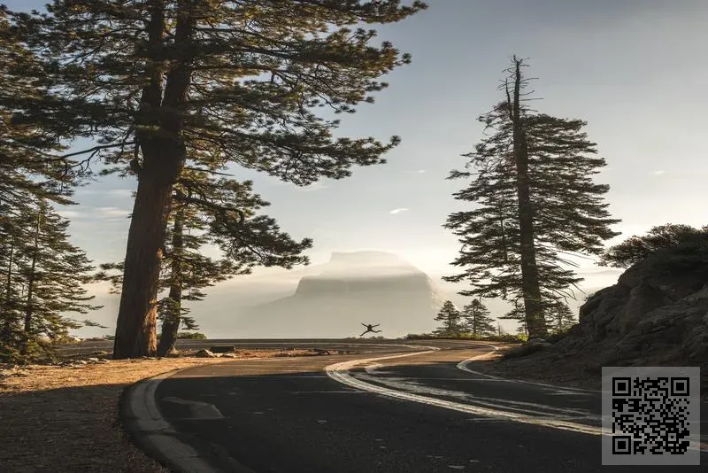 香港石雕文物有限公司
