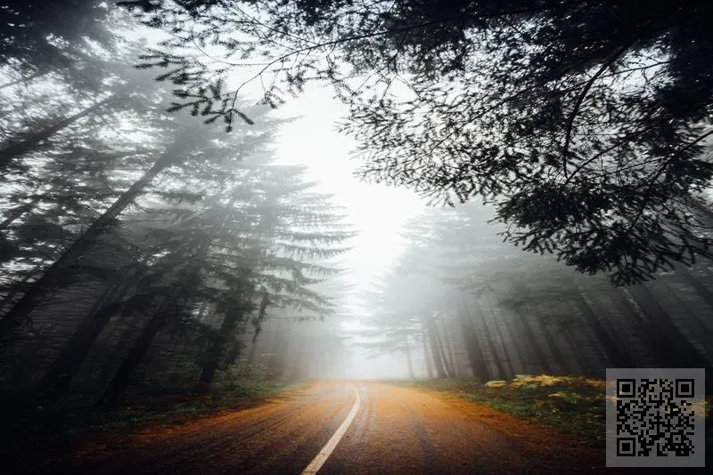 GOLDEN SEA AQUATIC & TECHNOLOGY LIMITED