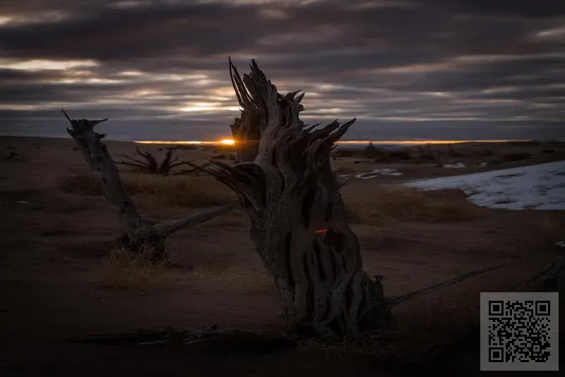 香港華夢國際美業連鎖集團有限公司