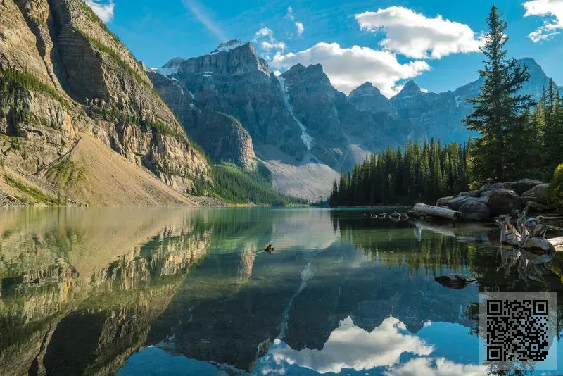 FLUIDEX ASIA PACIFIC LIMITED