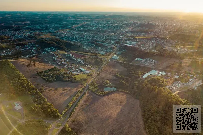 利特進出口有限公司