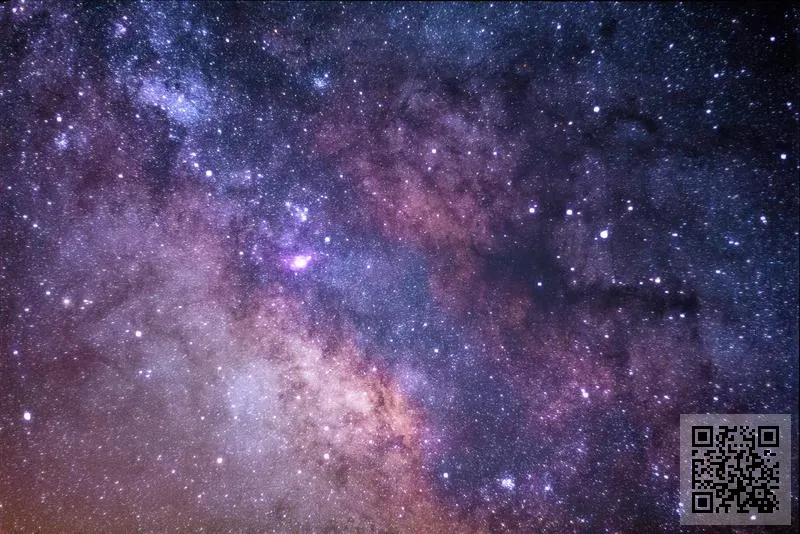 三角洲小隊有限公司