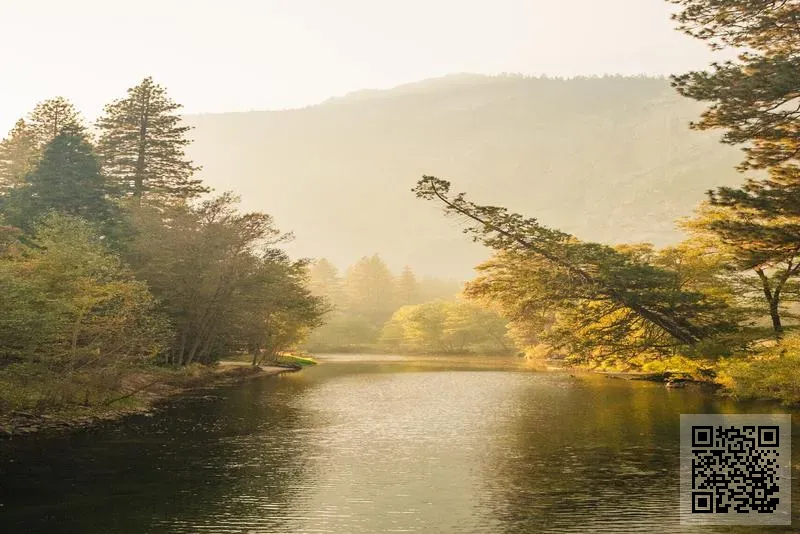 依艾集團(中國)有限公司