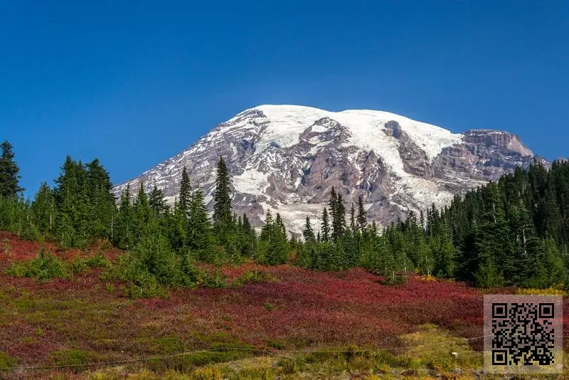 尚勝投資有限公司
