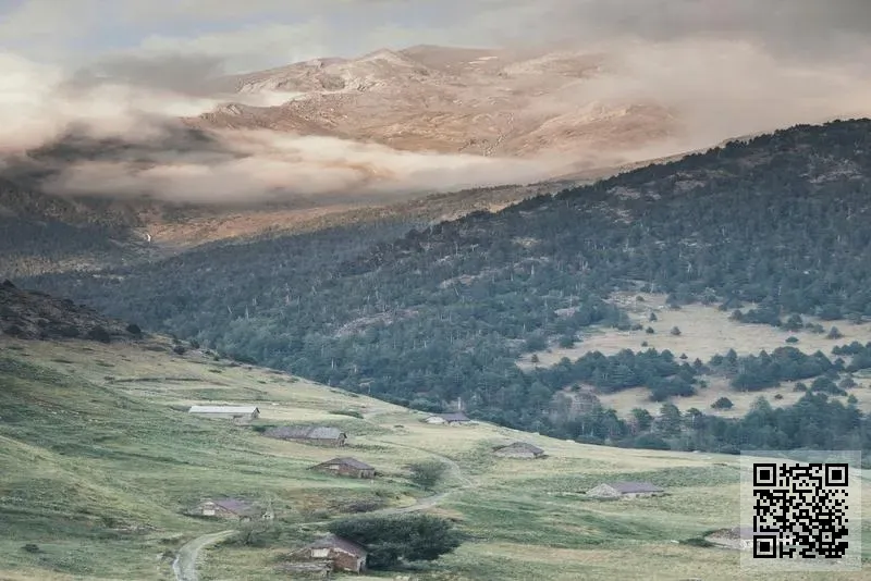 新捷創(香港)電子有限公司