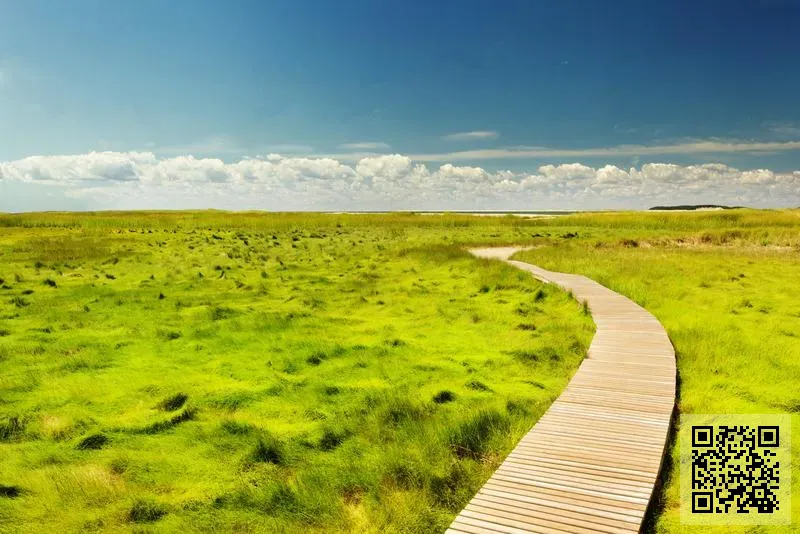 SILVER PACIFIC EQUITIES D/B/A 888SEAFOOD LIMITED