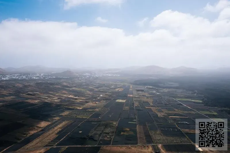 上海必朋安貿易有限公司