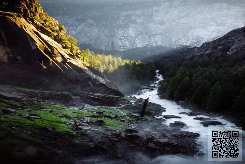 中鋁新材料(香港)有限公司