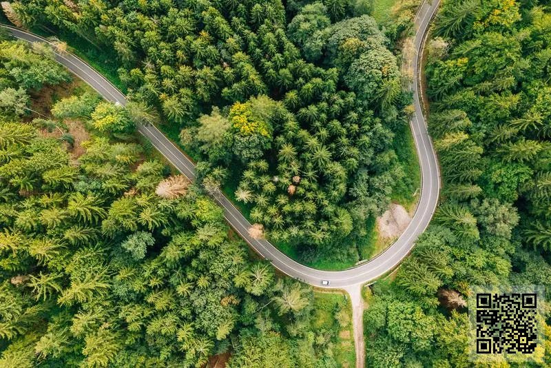 香港平澤貿易有限公司