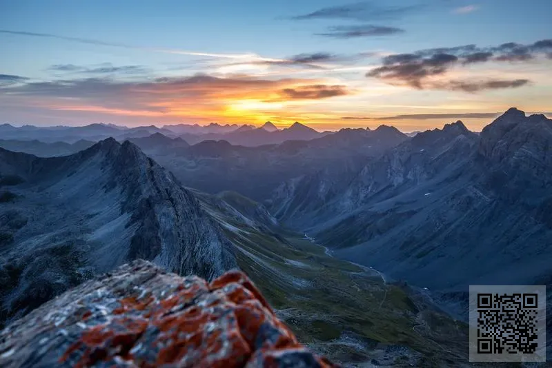 豐貝國際貿易有限公司