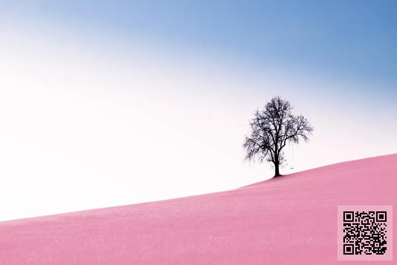 香港海德電池有限公司