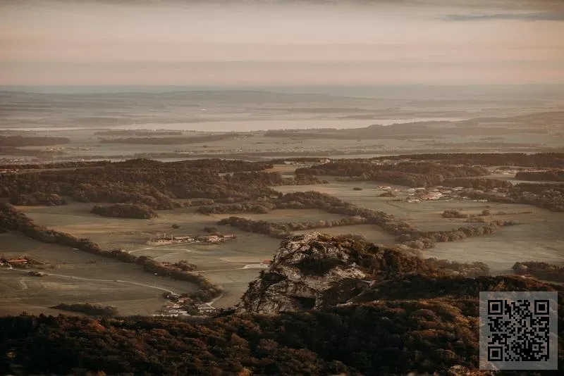 博瀚咨詢有限公司