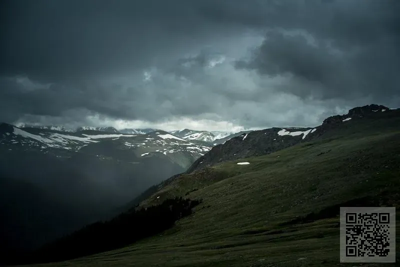 中禾(香港)集團有限公司