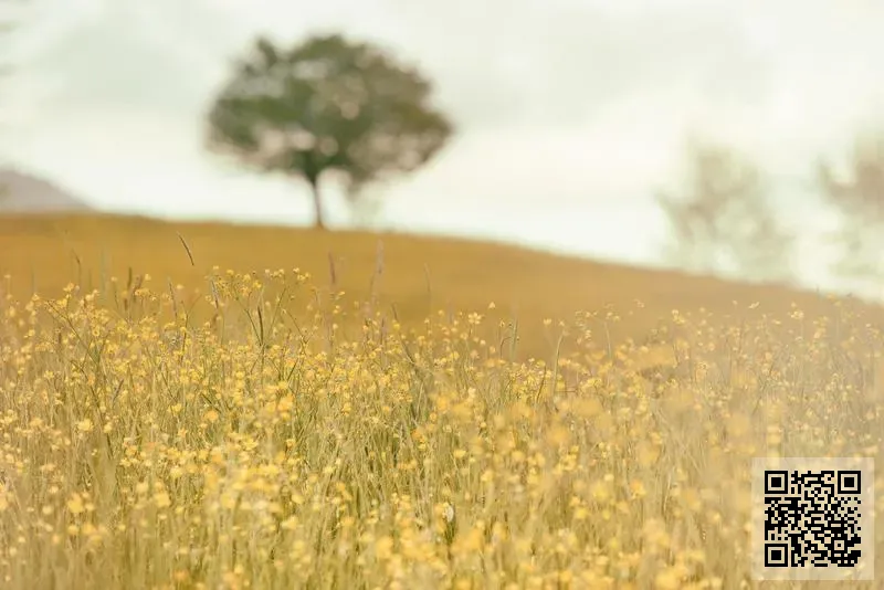 FLEXCON ELECTRONICS LIMITED