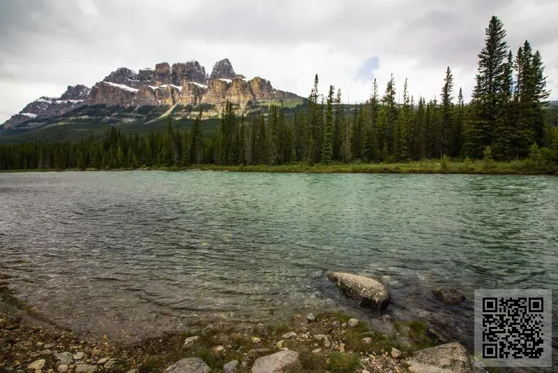 索尼國際貿易有限公司