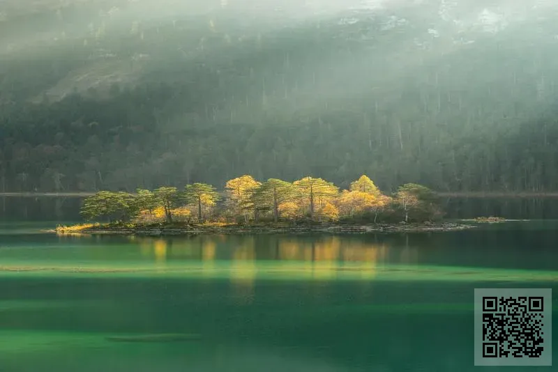 新星浩應答器科技有限公司