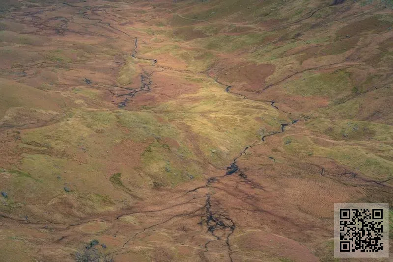廣東佛山市順德區曼帝尼傢俱有限公司