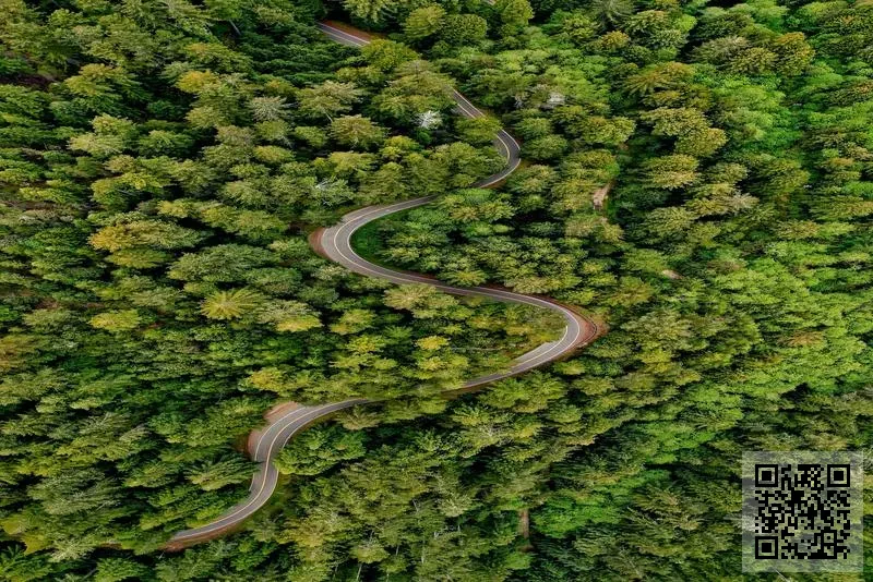 盈智風險管理有限公司