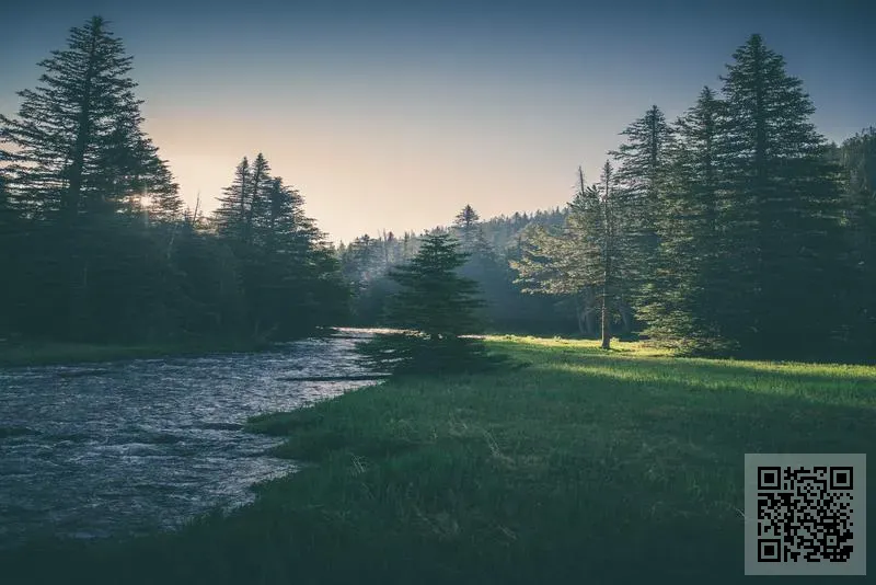 華洋資源(香港)國際有限公司