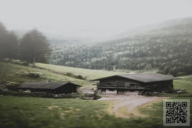 瑞士分享國際集團有限公司