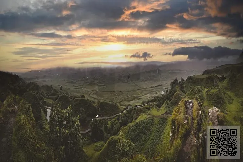 香港激光脫紋身中心有限公司