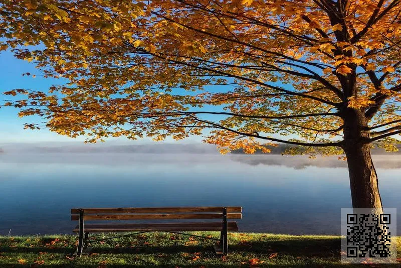 Motivation Pow Fit Limited