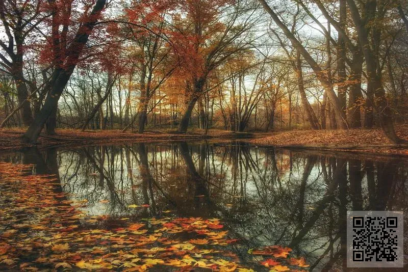 LJ Capital Management Company Limited