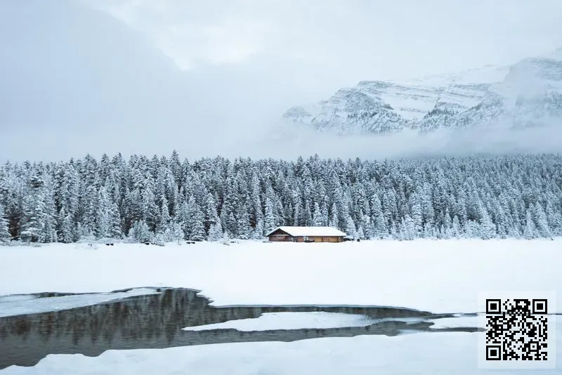 東歐企業有限公司