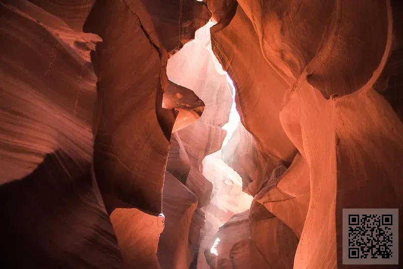 福斯晨實業有限公司