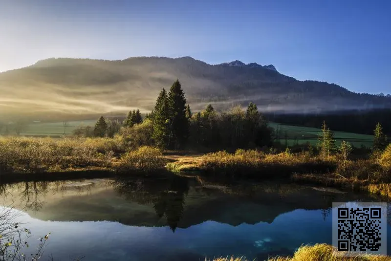 MYLB Production Limited