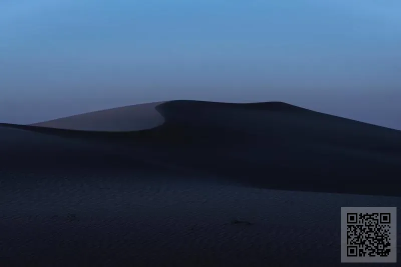 CHARACTER COUNTS LIMITED