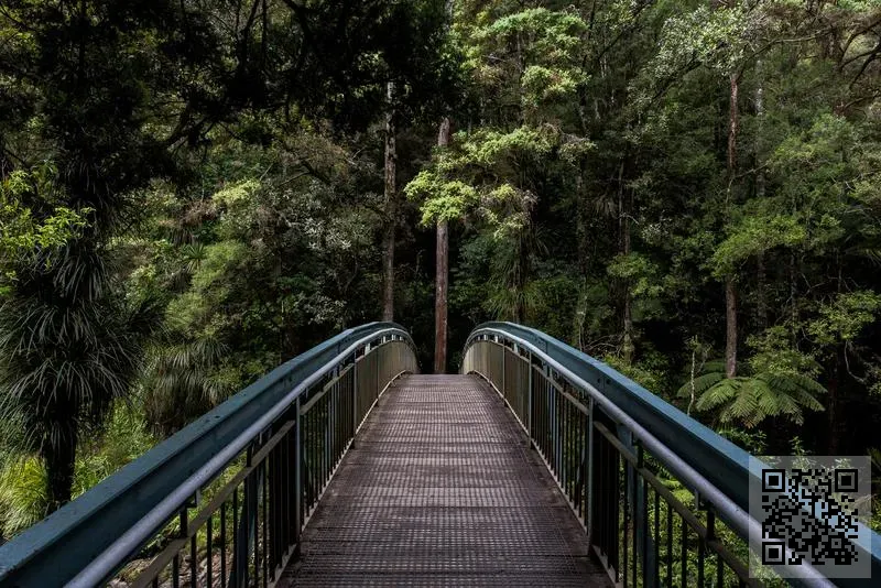 奈斯鞋業有限公司