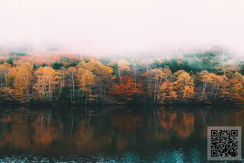 深圳市雲藍科技有限公司