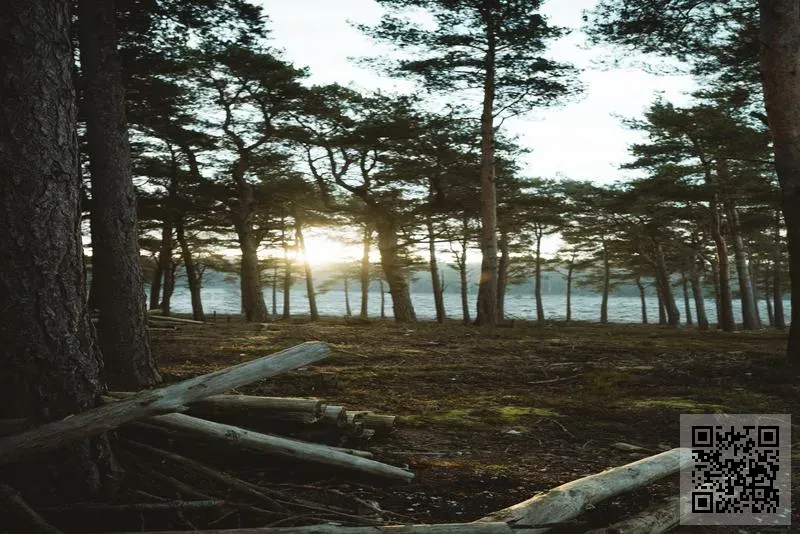 GOOD WIND CO., LIMITED