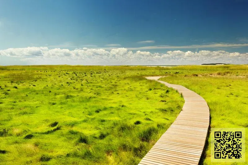 香港風暴電子商務股份有限公司