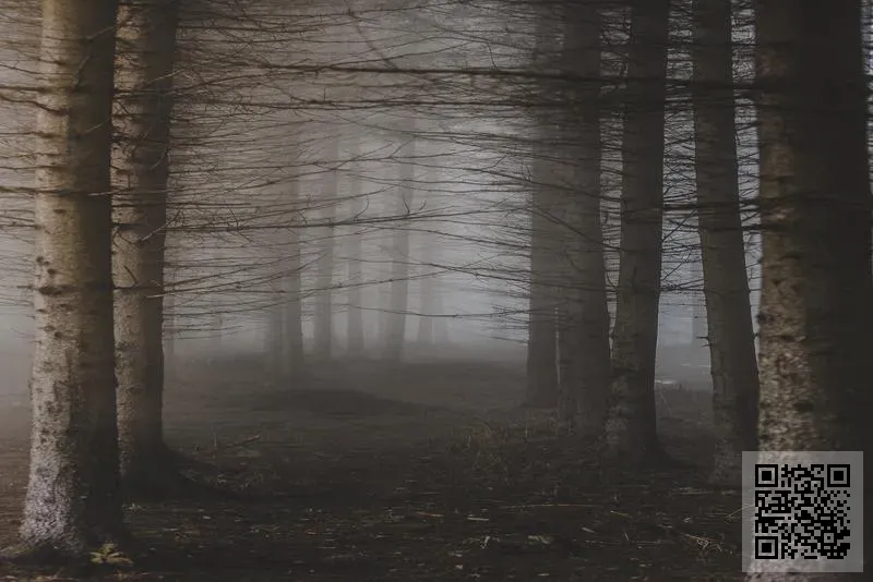 香港聚輝發展有限公司