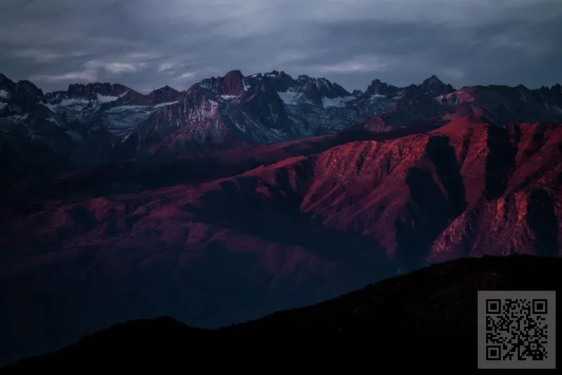 Lotus Group Co., Limited