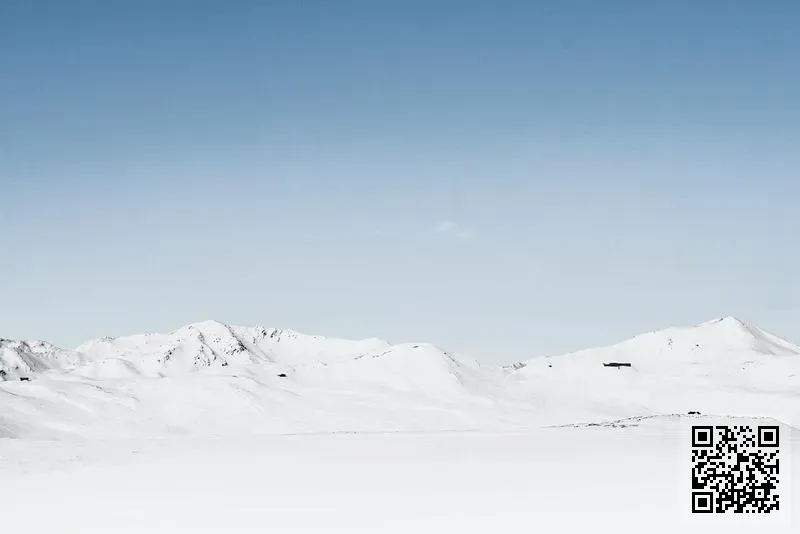 瑞歐國際貿易有限公司