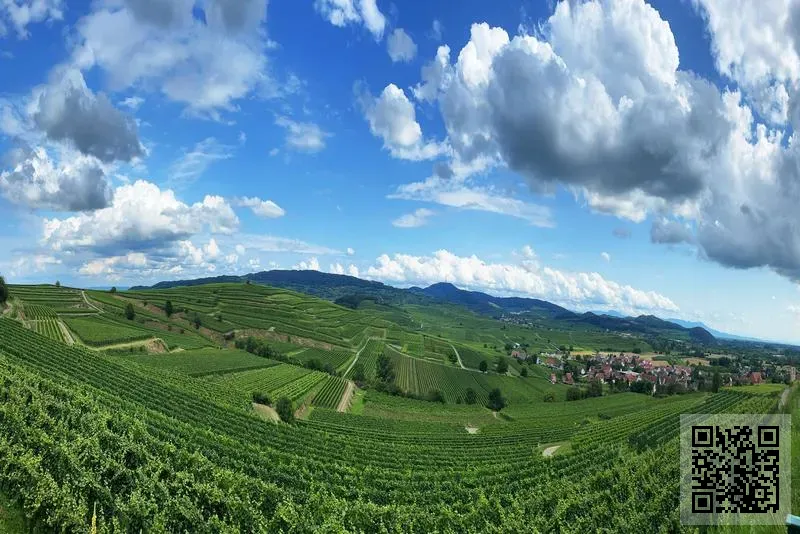 香港韓纖生物科技有限公司