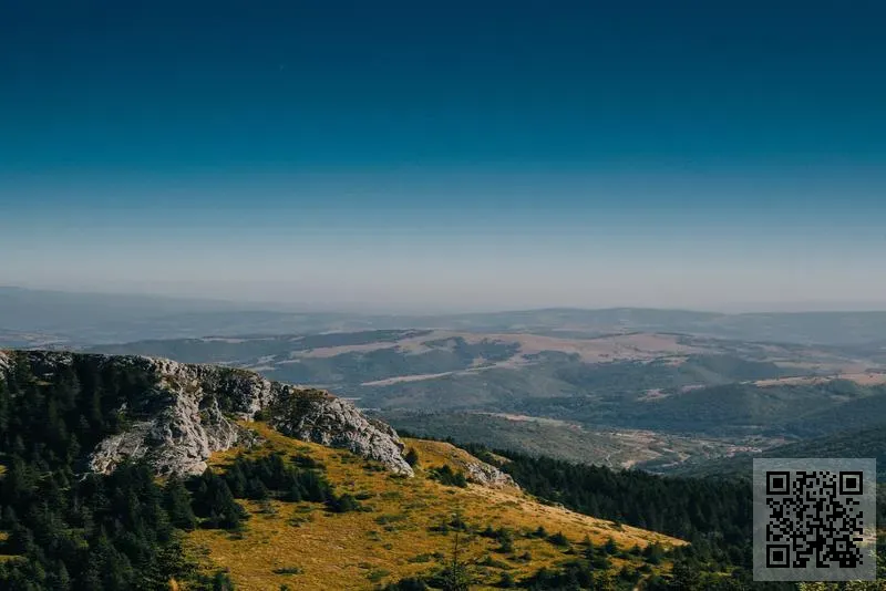 技冠科技有限公司