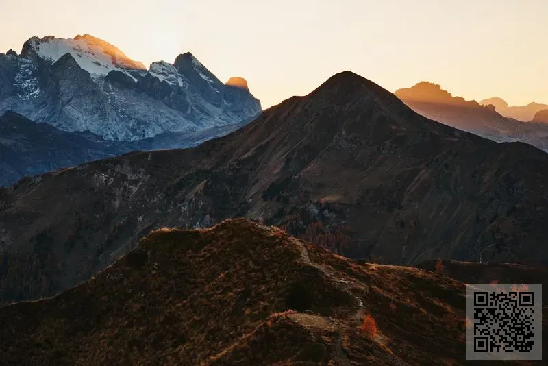 BOY N BURGER LIMITED