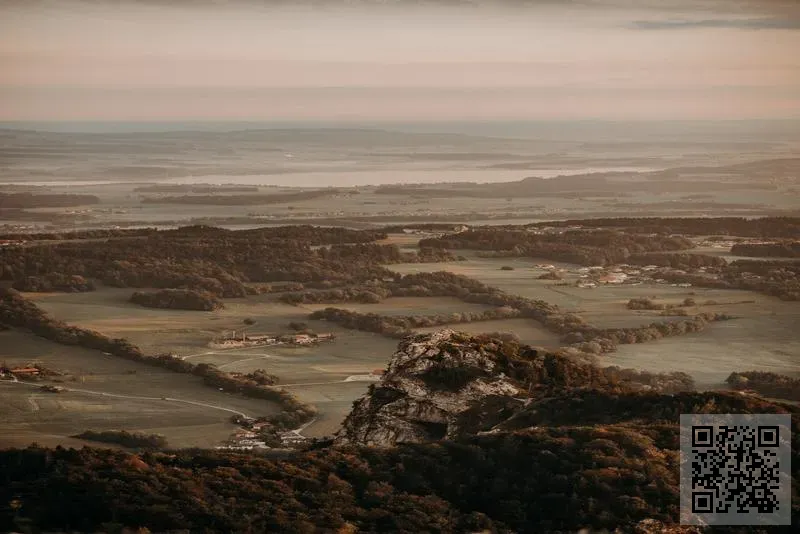 新民實業有限公司