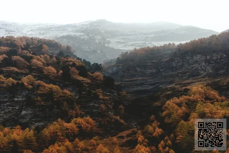 啟德(中國)集團有限公司