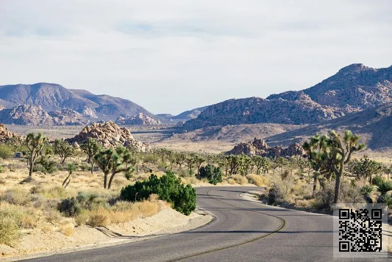 香港華盟貿易有限公司