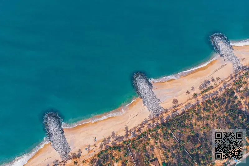 AL-HKIMI FOR TRADING CO., LIMITED