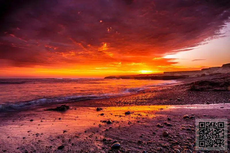 森馬運輸發展有限公司