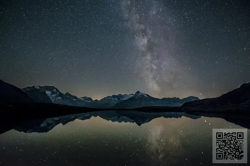 絲綢國際貿易有限公司